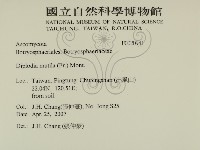 館號:F0020941藏品圖，第2張