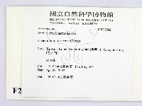 登錄號:F0020942藏品圖，第2張