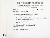 登錄號:F0020943藏品圖，第2張