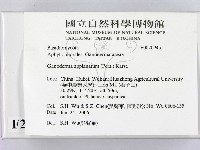 登錄號:F0020945藏品圖，第2張