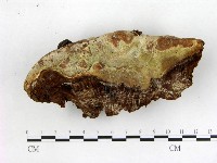 登錄號:F0020945藏品圖，第1張