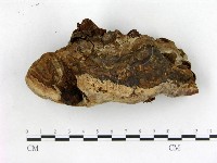 登錄號:F0020945藏品圖，第3張