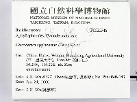 登錄號:F0020946藏品圖，第2張