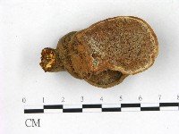 登錄號:F0020946藏品圖，第1張