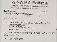靈芝屬藏品圖，第2張