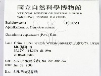 登錄號:F0020951藏品圖，第2張