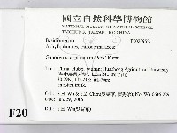 登錄號:F0020952藏品圖，第2張