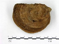 登錄號:F0020952藏品圖，第1張
