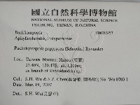 登錄號:F0020953藏品圖，第2張