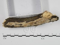 登錄號:F0020953藏品圖，第3張