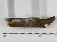 登錄號:F0020953藏品圖，第4張