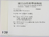 登錄號:F0020954藏品圖，第2張