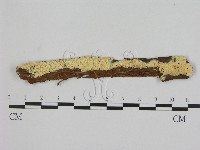 登錄號:F0020954藏品圖，第1張