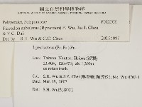 登錄號:F0020956藏品圖，第2張