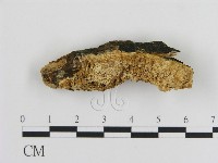 登錄號:F0020956藏品圖，第1張