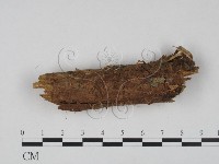 登錄號:F0020958藏品圖，第1張