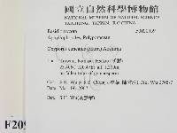 登錄號:F0020959藏品圖，第2張