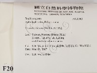 登錄號:F0020960藏品圖，第2張