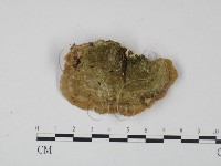 登錄號:F0020960藏品圖，第1張
