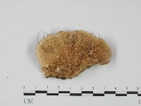 登錄號:F0020960藏品圖，第3張