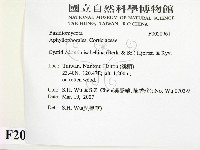 登錄號:F0020961藏品圖，第2張