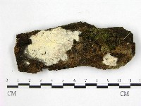 登錄號:F0020961藏品圖，第1張