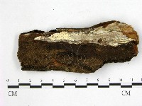 登錄號:F0020961藏品圖，第3張