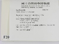 登錄號:F0020962藏品圖，第2張