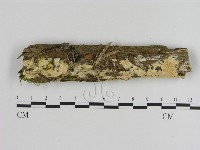 登錄號:F0020962藏品圖，第1張