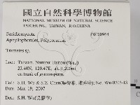 栓菌屬藏品圖，第2張