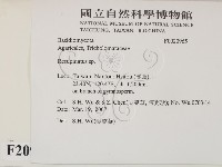 登錄號:F0020965藏品圖，第2張