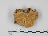 登錄號:F0020967藏品圖，第1張