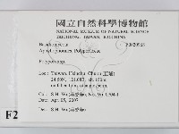 多孔菌屬藏品圖，第2張