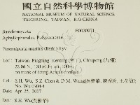 登錄號:F0020971藏品圖，第2張