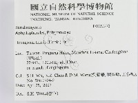 登錄號:F0020975藏品圖，第2張