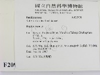 絲皮菌屬藏品圖，第2張