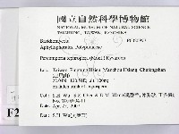 登錄號:F0020977藏品圖，第2張