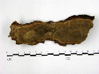 登錄號:F0020977藏品圖，第1張