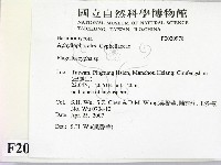 登錄號:F0020978藏品圖，第2張