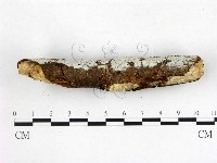 登錄號:F0020978藏品圖，第3張