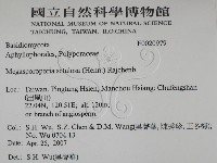 登錄號:F0020979藏品圖，第2張