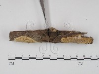登錄號:F0020979藏品圖，第3張