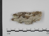 登錄號:F0020980藏品圖，第1張