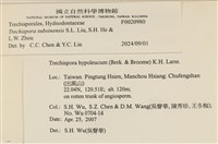 登錄號:F0020980藏品圖，第3張