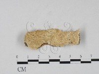 登錄號:F0020981藏品圖，第1張
