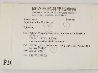 登錄號:F0020982藏品圖，第2張