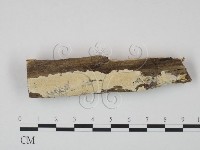 登錄號:F0020982藏品圖，第1張