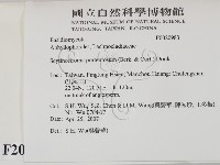 登錄號:F0020983藏品圖，第2張