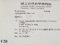 登錄號:F0020984藏品圖，第2張