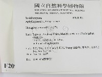 登錄號:F0020985藏品圖，第2張